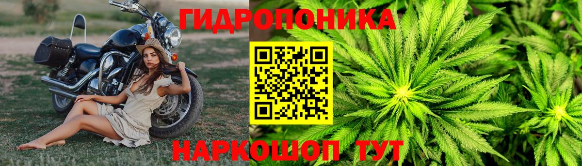Шишки марихуана THC 21% Норильск